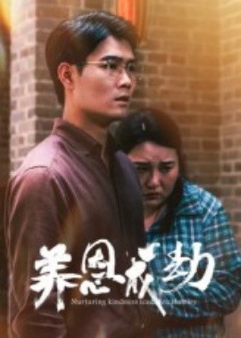 资源《养恩成劫》的海报