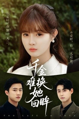 资源《千金难换她回眸》的海报