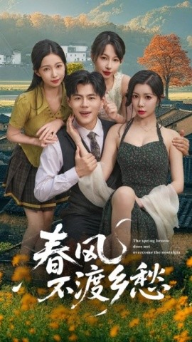 资源《春风不渡乡愁》的海报