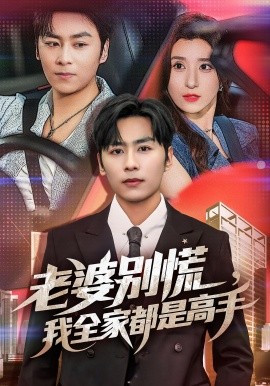 资源《老婆别慌，我全家都是高手》的海报