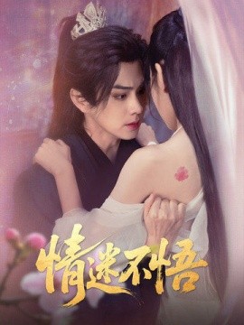 资源《情迷不悟》的海报