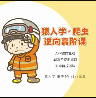 资源《猿人学爬虫逆向高阶课》的海报
