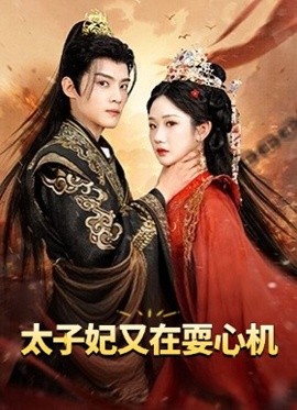 资源《太子妃又在耍心机&人家才不是坏女人》的海报