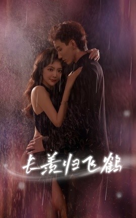 资源《长羡归飞鹤》的海报