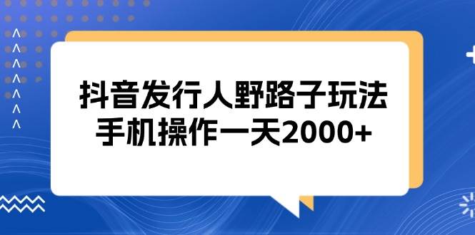 资源《抖音发行人野路子玩法，手机操作一天2000【揭秘】》的海报