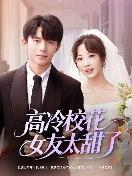 资源《高冷校花女友太甜了》的海报