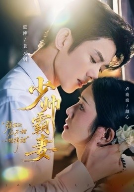 资源《少帅霸妻，强扭的瓜不甜也得甜》的海报