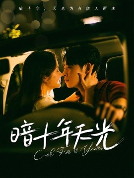 资源《暗十年天光》的海报