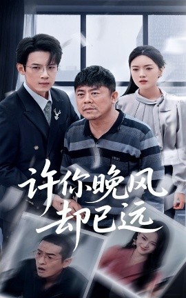 资源《许你晚风却已远》的海报