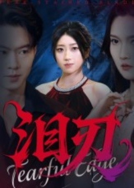 资源《泪刃》的海报