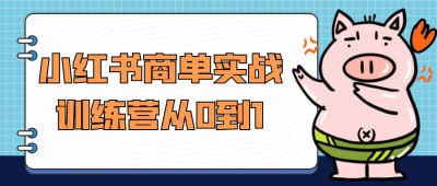 资源《小红书商单实战训练营从0到1》的海报