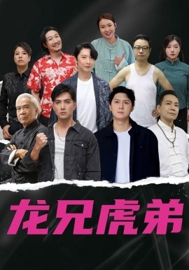 资源《龙兄虎弟》的海报