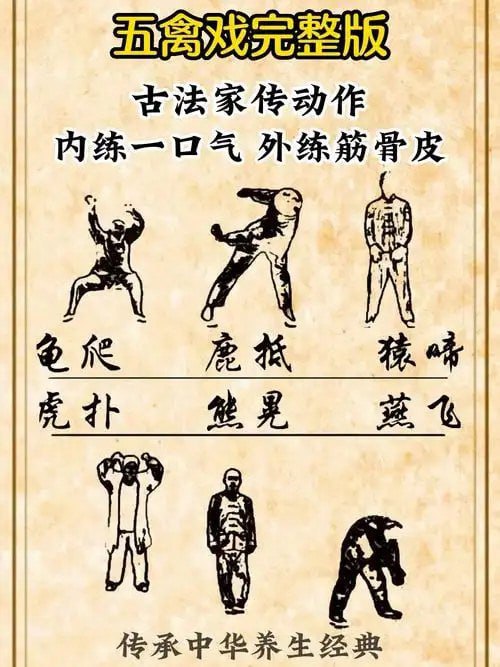 资源《《图解中华健身术合集：五禽戏·六字诀·八段锦·易筋经》传统养生功法[pdf]》的海报