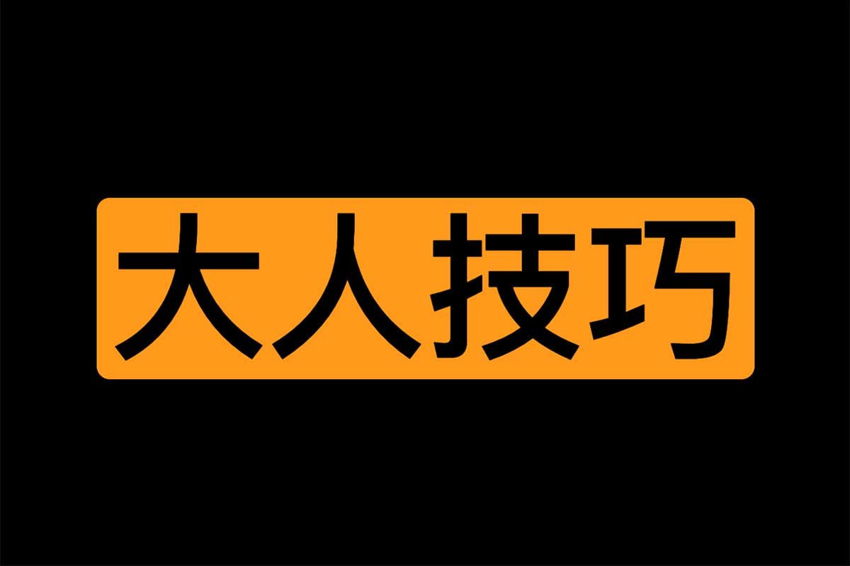 资源《大人技巧知识电子书》的海报