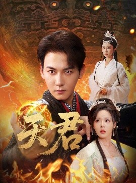 资源《天君》的海报