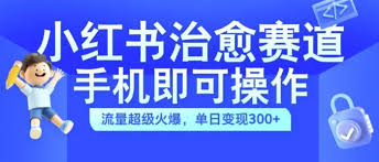 资源《小红书治愈视频赛道，手机即可操作，流量超级火爆，单日变现300 【揭秘】》的海报