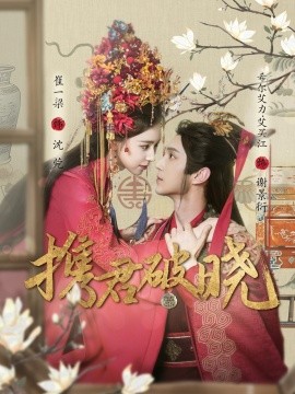 资源《携君破晓》的海报