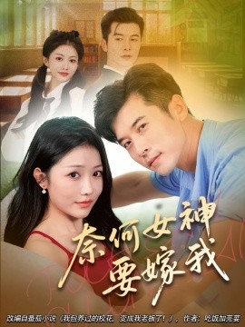 资源《奈何女神要嫁我》的海报