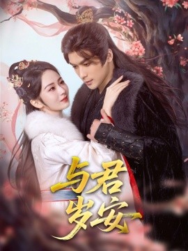 资源《与君岁安》的海报