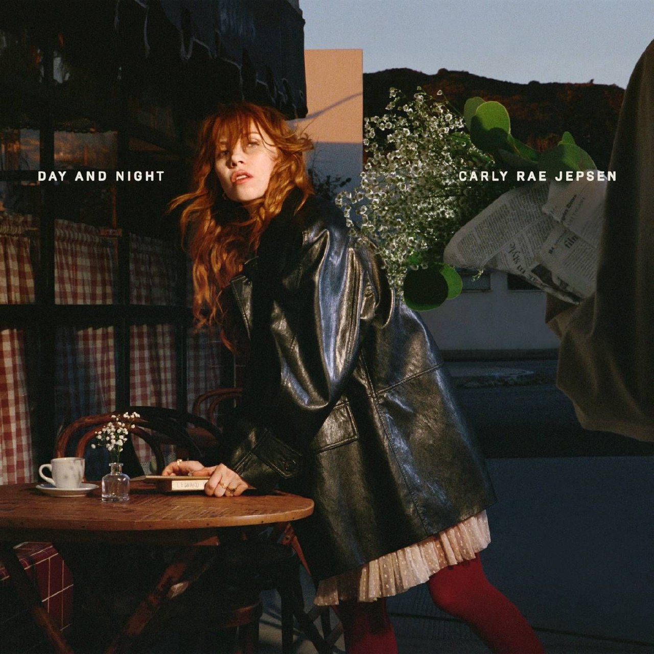 资源《Carly Rae Jepsen Day and Night - (2026) FLAC 24bit 48kHz Tidal》的海报