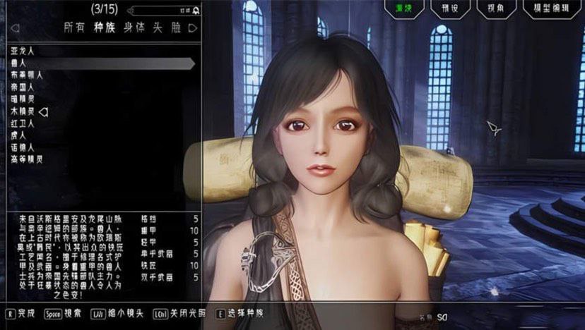 资源《《上古卷轴5》少女卷轴》的海报