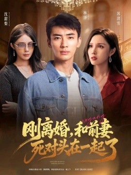 资源《刚离婚，和前妻死对头在一起》的海报