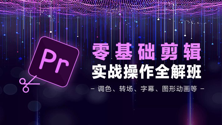 资源《PR从零基础入门到视频剪辑大神教程》的海报