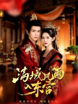 资源《满城风雨入东宫》的海报