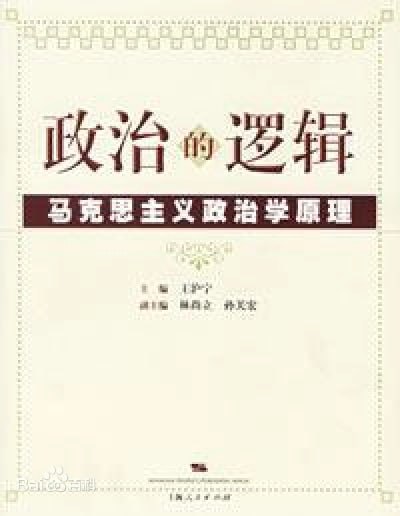 资源《政治的逻辑》的海报