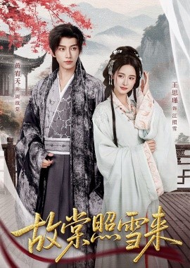 资源《故棠照雪来》的海报