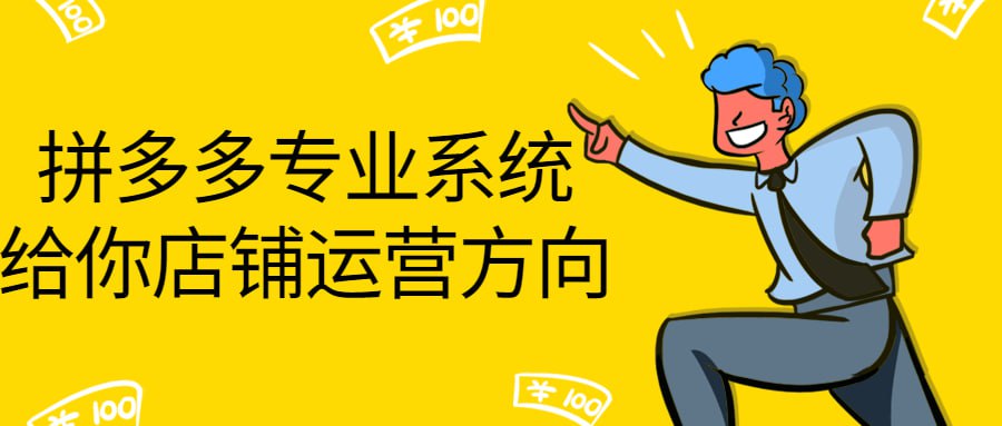 资源《拼多多专业系统给你店铺运营方向》的海报