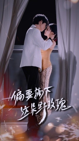 资源《偏要摘下这朵野玫瑰》的海报