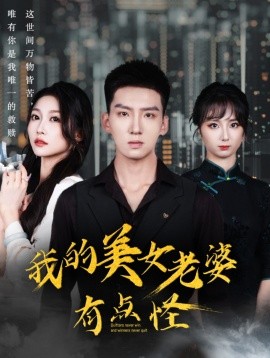 资源《我的美女老婆有点怪》的海报