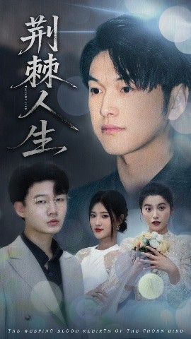 资源《荆棘人生》的海报