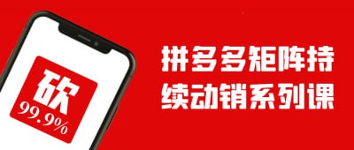 资源《 拼多多矩阵持续动销系列课》的海报