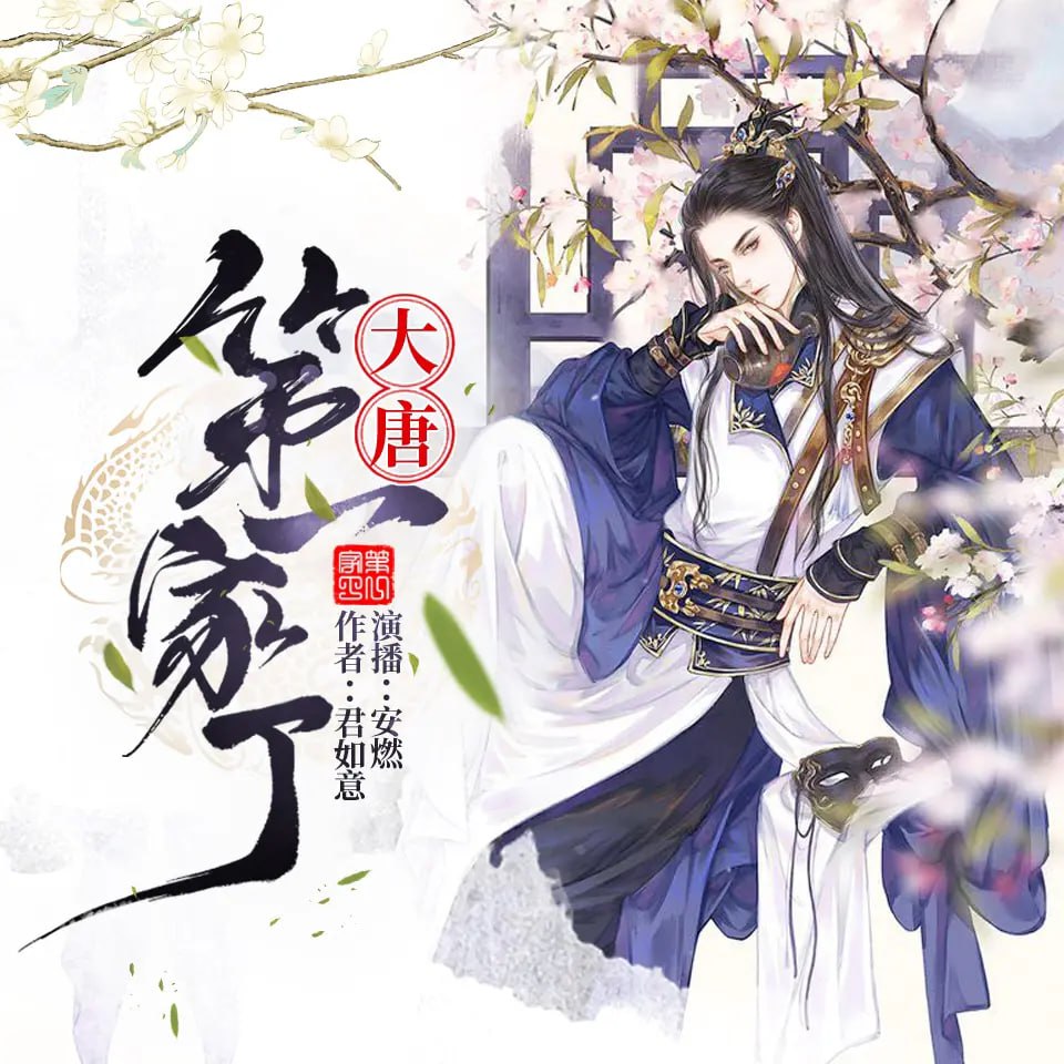 资源《有声小说《大唐第一家丁》著：君如意 播：安燃 460集完》的海报