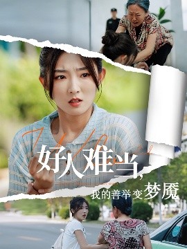 资源《好人难当，我的善举变梦魇&好人难当我的善举上了热搜》的海报