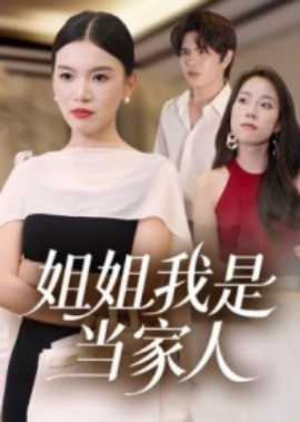 资源《姐姐我是当家人》的海报