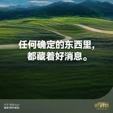 资源《张朝阳+罗振宇+吴晓波+任泽平》的海报