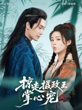 资源《掠走摄政王掌心宠》的海报