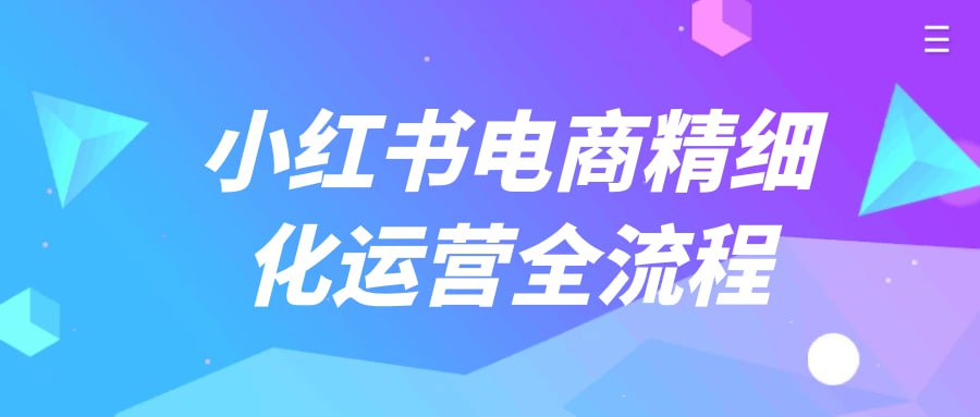 资源《小红书电商精细化运营全流程》的海报
