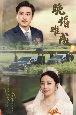 资源《晚婚难成》的海报