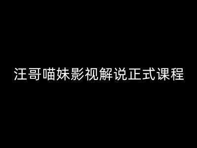 资源《汪哥影视解说正式课程：剪映/PR教学/视解说剪辑5大黄金法则/全流程剪辑7把利器等等》的海报