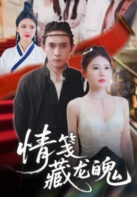 资源《情笺藏龙魄》的海报
