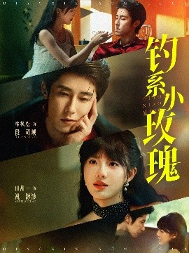 资源《钓系小玫瑰》的海报