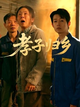资源《孝子归乡》的海报