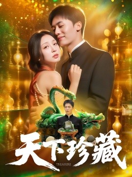 资源《天下珍藏》的海报