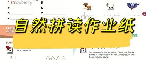 资源《英语自然拼读练习作业纸》的海报