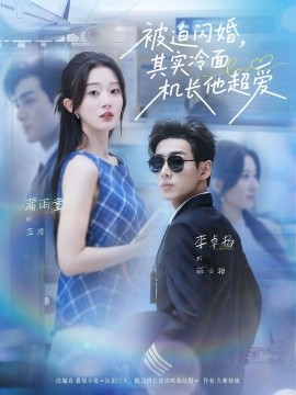 资源《被迫闪婚，其实冷面机长他超爱》的海报