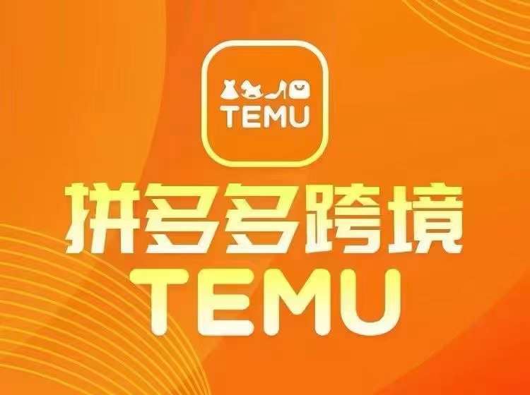 资源《最新TEMU拼多多跨境教程，开店、运营、选品》的海报